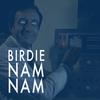 Birdie-Nam-Nam - Ulgebräk&Markus Åberg&Jan Bidner