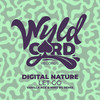 Let Go (Vanilla ACE, Nino|BG|Remix|Short Version) - Nino (BG)&Vanilla Ace&Digital Nature