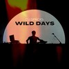 Wild Days - DJ Spacig