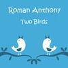 Two Birds (Radio Edit) - ROMAN ANTHONY