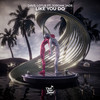 Like You Do - DAV5&Lotus&Jordan Jade