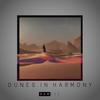 DUNES IN HARMONY - Rameez