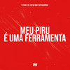 Meu Piru É uma Ferramenta (Explicit) - DJ Pablo RB&Mc Mr Bim