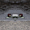 In Love (feat. DripLord & Quinton L) (Explicit) - 6enuine&Sylar&Driplord&Quinton L