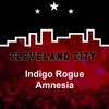 Amnesia - Indigo Rogue