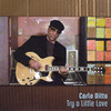 Try A Little Love - Carlo Ditta