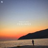 Feelings - pablo leo