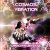 Tolteca Mushrooms - Cosmos Vibration