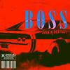 BOSS - Seek N Destroy