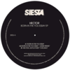 Born in the You Essay - remix (Remix) - Hector