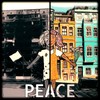 Peace is a Choice - Neuman Pinto