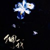 拥我 - 末末罹
