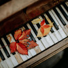 Velvet Skies - Luis Siu Riveron&The Lenny Ryan Trio&Thomas Koch