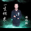 一生何求 (新版伴奏) - 林巧阳