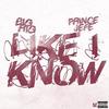 Like I Know (feat. Prince Jefe) (Explicit) - Big Rig&Prince Jefe