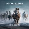 Innocence - Dj Goja&Suleymer&Alin Radu&Ovidiu Marius Goja