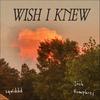 Wish I Knew - Josh Humphrey&Sqwiddd