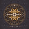 Chasing Ghosts (Original Mix) - Illumination&Skizologic