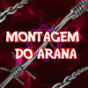 MONTAGEM DO ARANA (Explicit) - DJ Two Patinhas&Mc Manhoso