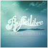 The Sun in the Shade (David Van Bylen Remix) - Buffetlibre&Nick Krill