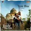 Tere Bin - Abhijeet Srivastava&Troy Arif