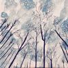 星空的疑问 (doubts of starry sky) - LongPlay