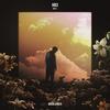 We Can Get This Right (feat. SoMo) - Moonlander&SoMo