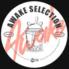Really Nice - Sebastian Emes&Jay Nemor