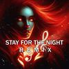 Stay For The Night (Remix) - Leon Kold&pollyzie