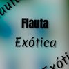 Flauta Exótica (Explicit) - DJ RAFA MOLINA&MC Brooklyn&MC MT