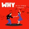 Why (BreakLatin Remix) - DJ Tons&DJRomar&Siu Juki&Jay Balmorian&Richie Balmorian&Peter Hartmann&Jan Langhoff