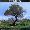 Underneath the Olive Tree - Silica