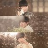 样 (YOUNG) (Single Version) - TFBOYS