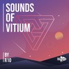 Vitium (Original Mix) - R10(Al)&Paul Cue