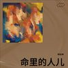 命里的人儿 (伴奏) - 段佐林