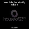 What If (feat. Mike City) - Jonas Blake&Mike City