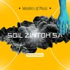 Wonders of Music (Main Mix) - Soil Zintoh SA