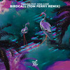 Birdcall (Tom Ferry Remix) - Panuma&Nina Carr&Tom Ferry