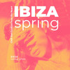 Silent Move (Mental Soul Remix) - Fernando Kouf&Mental Soul