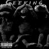 GEEKING (feat. MEEK) (Explicit) - Rahstakz&Meek