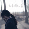 亡妻回忆录 - 陆子昂&柏香果吖