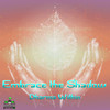 Funkeln Sonata (Original Mix) - Embrace The Shadow