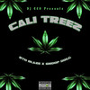 Cali Treez (Explicit) - DJ CEO&BTH BLAZE&Snoop Dogg