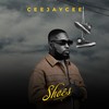 Shoes - Ceejaycee