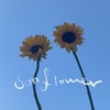 해바라기 (2023) (Sun Flower (2023)) (Inst.) - LAS (라스)