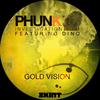 Gold Vision (Radio Edit) - Phunk Investigation
