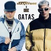 Gatas - Ezequiel Matthysse&RBZ