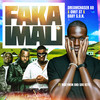 Faka Imali - Dreamchaser XO&Baby S.O.N&Omit ST&Maeywon&Sbu Keys