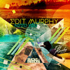 Need You (PillowTalk Remix) - Edit Murphy