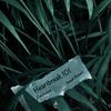Heartbreak 101 - Zenaware&Isaiah Brown